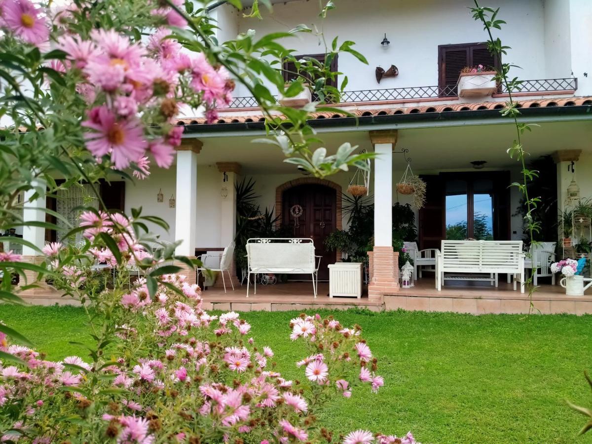 B&B Il Cantico Greccio Exteriör bild